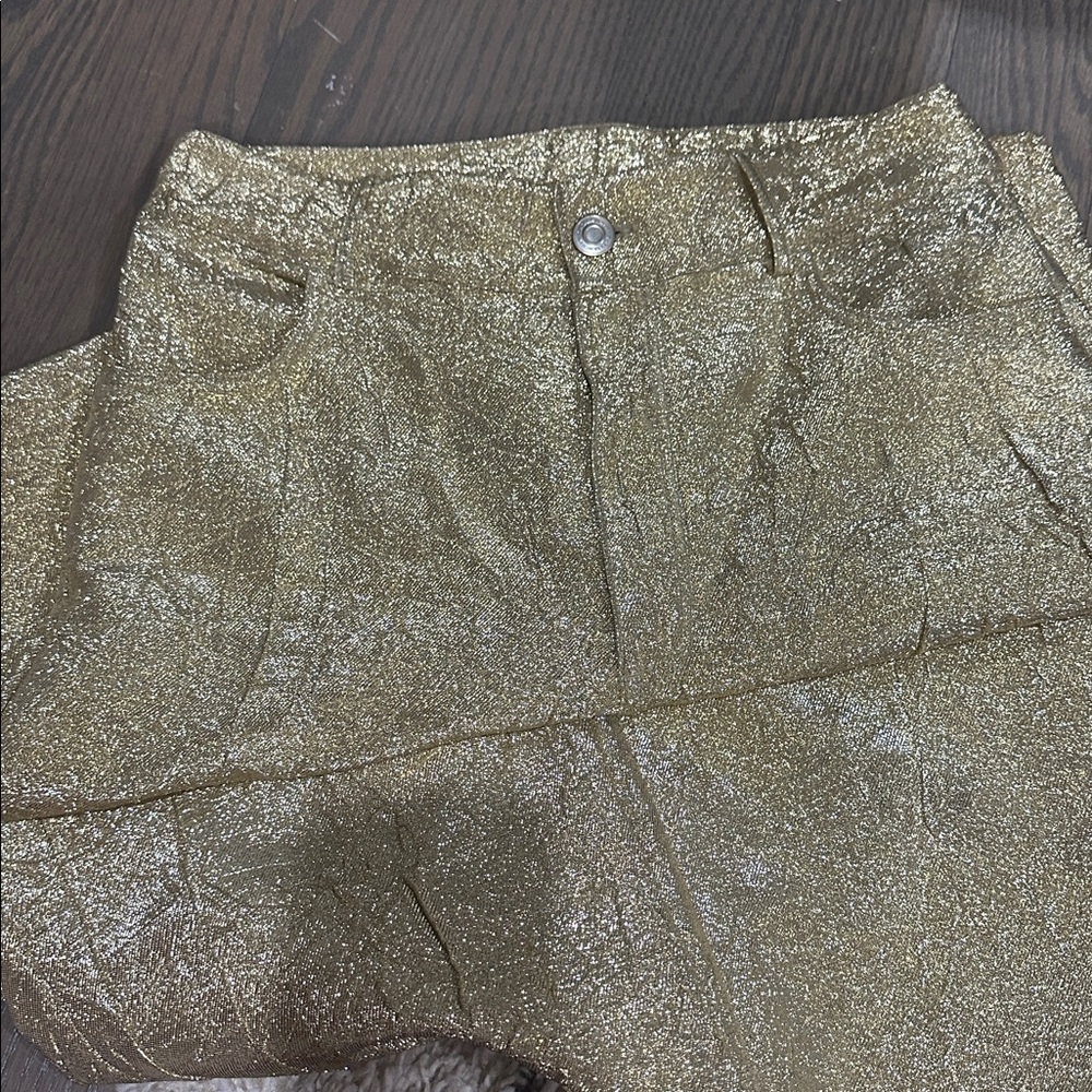 LAST CHANCE Zara Gold Textured Pants - Picture 9 of 12